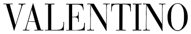 logo valentino