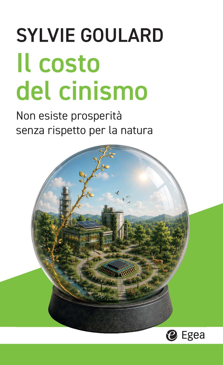 il costo